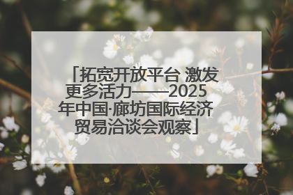 拓宽开放平台 激发更多活力——2025年中国·廊坊国际经济贸易洽谈会观察