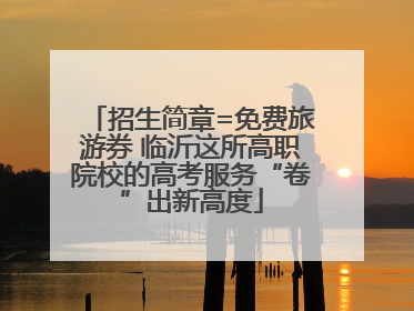 招生简章=免费旅游券 临沂这所高职院校的高考服务“卷”出新高度