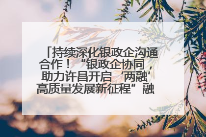 持续深化银政企沟通合作！“银政企协同，助力许昌开启‘两融’高质量发展新征程”融资对接会举行