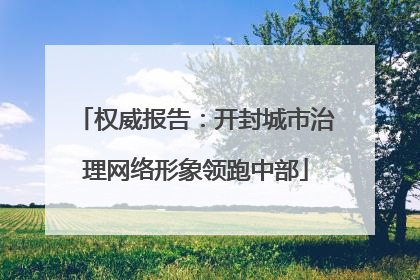 权威报告：开封城市治理网络形象领跑中部