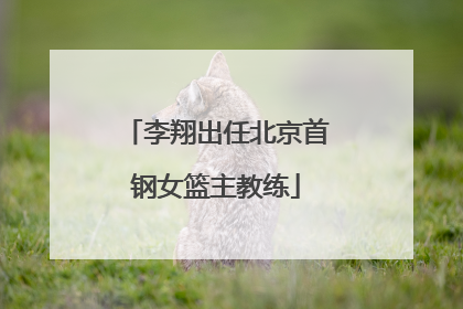 李翔出任北京首钢女篮主教练