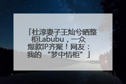 杜淳妻子王灿兮晒整柜Labubu，一众爆款IP齐聚！网友：我的 “梦中情柜”