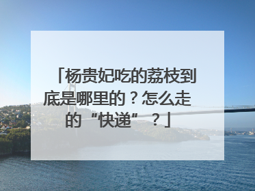 杨贵妃吃的荔枝到底是哪里的？怎么走的“快递”？