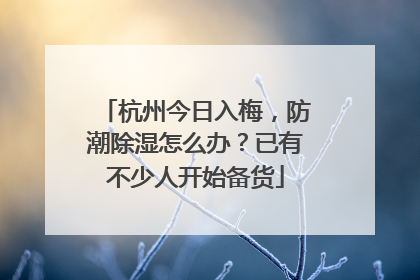 杭州今日入梅，防潮除湿怎么办？已有不少人开始备货