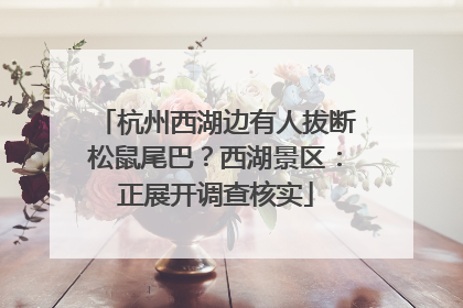 杭州西湖边有人拔断松鼠尾巴？西湖景区：正展开调查核实