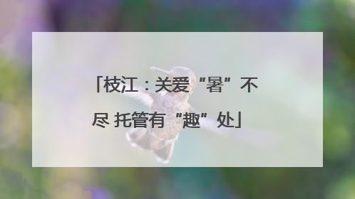 枝江：关爱“暑”不尽 托管有“趣”处