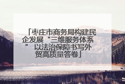 枣庄市商务局构建民企发展“三维服务体系” 以法治保障书写外贸高质量答卷