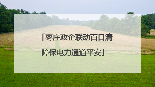 枣庄政企联动百日清障保电力通道平安