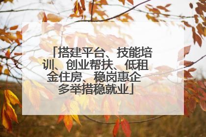 搭建平台、技能培训、创业帮扶、低租金住房、稳岗惠企 多举措稳就业
