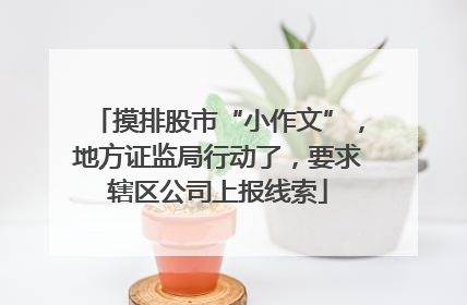 摸排股市“小作文”，地方证监局行动了，要求辖区公司上报线索