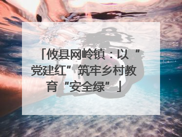 攸县网岭镇：以“党建红”筑牢乡村教育“安全绿”