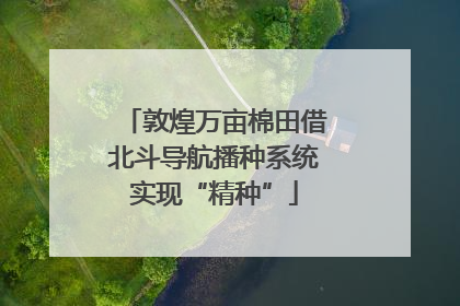 敦煌万亩棉田借北斗导航播种系统实现“精种”