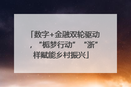 数字+金融双轮驱动，“栀梦行动”“浙”样赋能乡村振兴