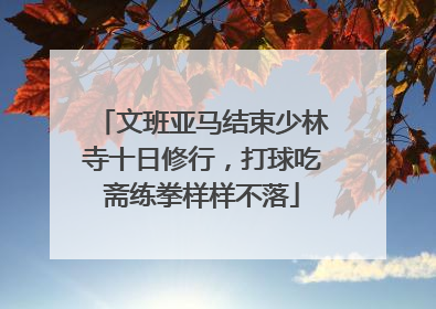 文班亚马结束少林寺十日修行，打球吃斋练拳样样不落