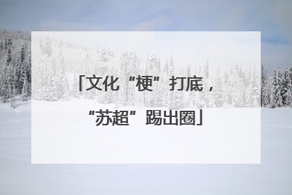 文化“梗”打底，“苏超”踢出圈
