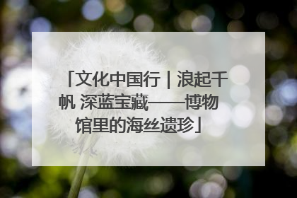 文化中国行｜浪起千帆 深蓝宝藏——博物馆里的海丝遗珍