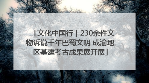 文化中国行｜230余件文物诉说千年巴蜀文明 成渝地区基建考古成果展开展