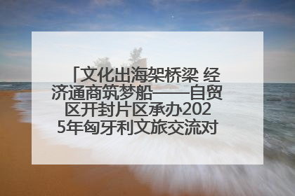 文化出海架桥梁 经济通商筑梦船——自贸区开封片区承办2025年匈牙利文旅交流对接活动专场