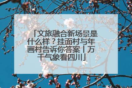 文旅融合新场景是什么样？挂面村与年画村告诉你答案丨万千气象看四川
