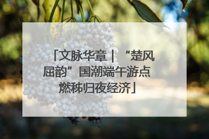 文脉华章｜“楚风屈韵”国潮端午游点燃秭归夜经济