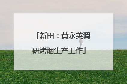 新田：黄永英调研烤烟生产工作