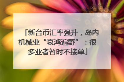新台币汇率强升，岛内机械业“哀鸿遍野”：很多业者暂时不接单