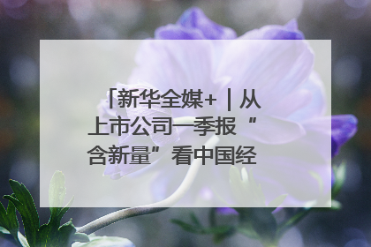 新华全媒+｜从上市公司一季报“含新量”看中国经济发展向“新”