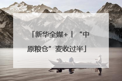 新华全媒+丨“中原粮仓”麦收过半