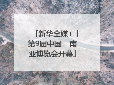 新华全媒+丨第9届中国—南亚博览会开幕