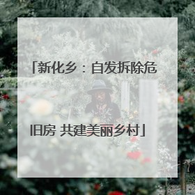 新化乡：自发拆除危旧房 共建美丽乡村