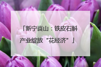 新宁崀山：铁皮石斛产业绽放“花经济”