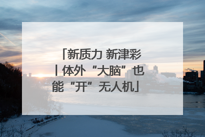 新质力 新津彩丨体外“大脑”也能“开”无人机