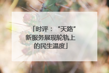 时评：“天路”新服务展现轮轨上的民生温度