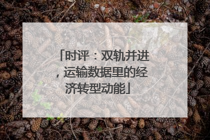 时评：双轨并进，运输数据里的经济转型动能