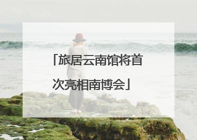 旅居云南馆将首次亮相南博会