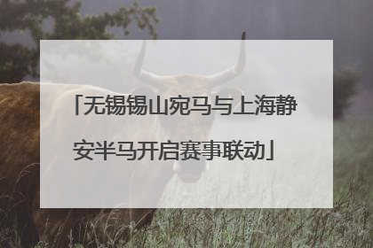无锡锡山宛马与上海静安半马开启赛事联动