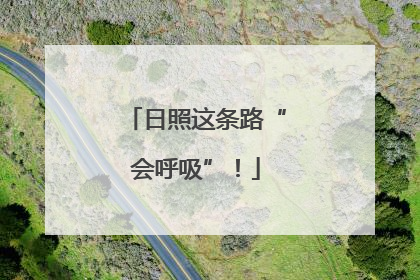 日照这条路“会呼吸”！