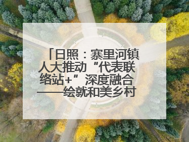 日照：寨里河镇人大推动“代表联络站+”深度融合——绘就和美乡村幸福画卷