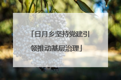 日月乡坚持党建引领推动基层治理