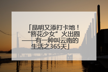 昆明又添打卡地！“簪花少女”火出圈——有一种叫云南的生活之365天