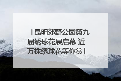 昆明郊野公园第九届绣球花展启幕 近万株绣球花等你赏