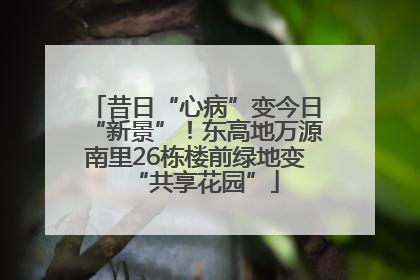昔日“心病”变今日“新景”！东高地万源南里26栋楼前绿地变“共享花园”