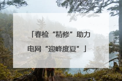 春检“精修”助力电网“迎峰度夏”