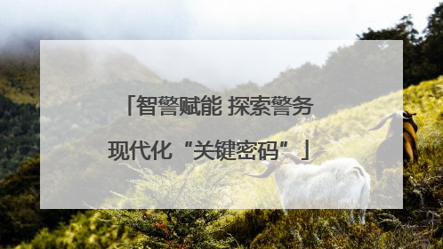 智警赋能 探索警务现代化“关键密码”