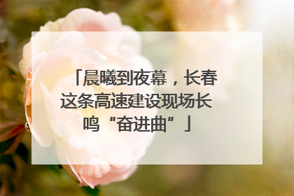 晨曦到夜幕，长春这条高速建设现场长鸣“奋进曲”