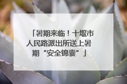 暑期来临！十堰市人民路派出所送上暑期“安全锦囊”