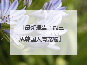 最新报告：约三成韩国人有宠物