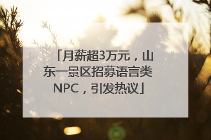 月薪超3万元，山东一景区招募语言类NPC，引发热议