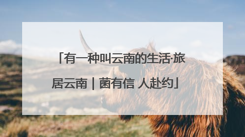 有一种叫云南的生活·旅居云南｜菌有信 人赴约
