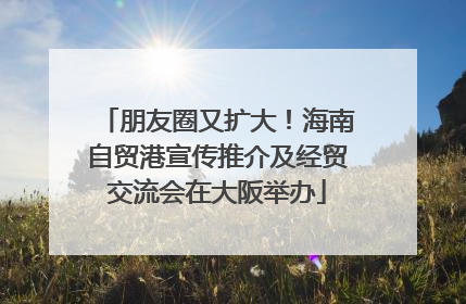 朋友圈又扩大！海南自贸港宣传推介及经贸交流会在大阪举办